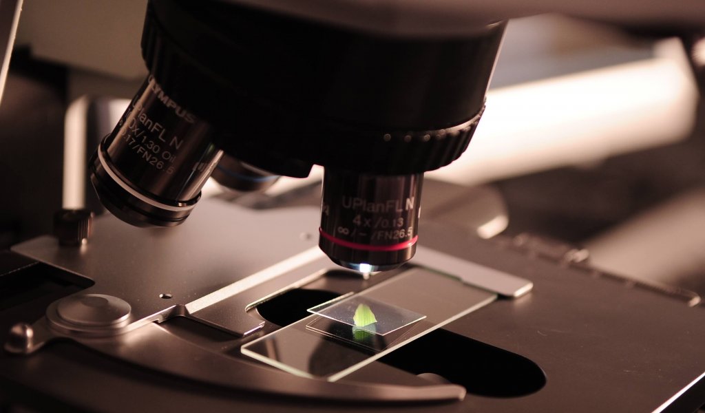 microscope-385364 microscope-385364