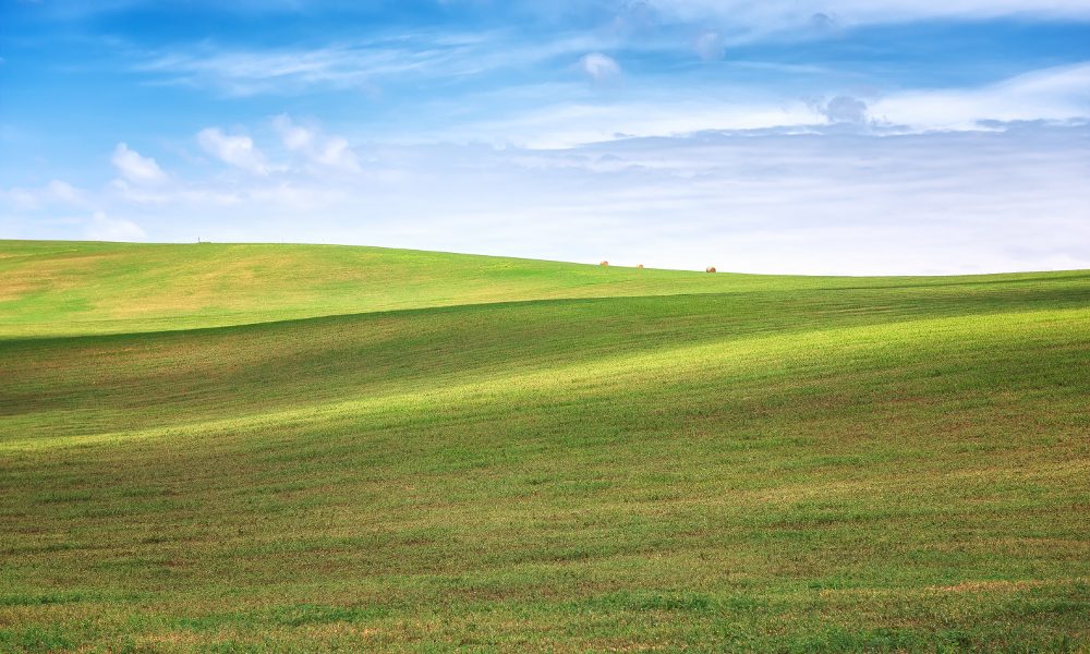 Amazing landscape with green wheat field and rolling hills in South Moravia, Czech Republic
