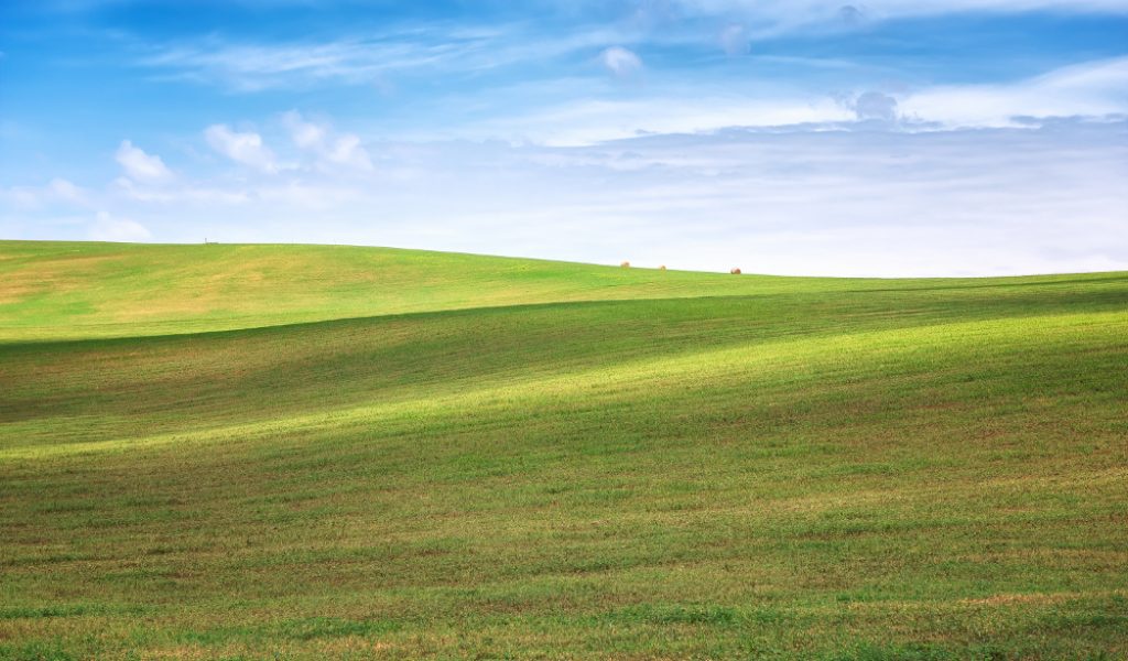 Amazing landscape with green wheat field and rolling hills in South Moravia, Czech Republic